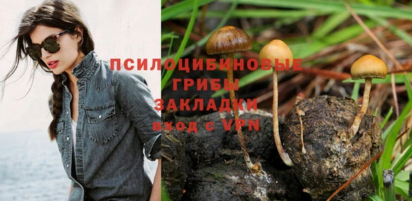 кокс Алексеевка