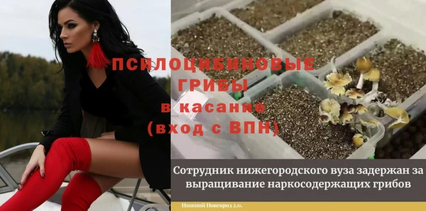 мяу мяу мука Алексин