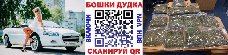 Конопля OG Kush  Болохово 